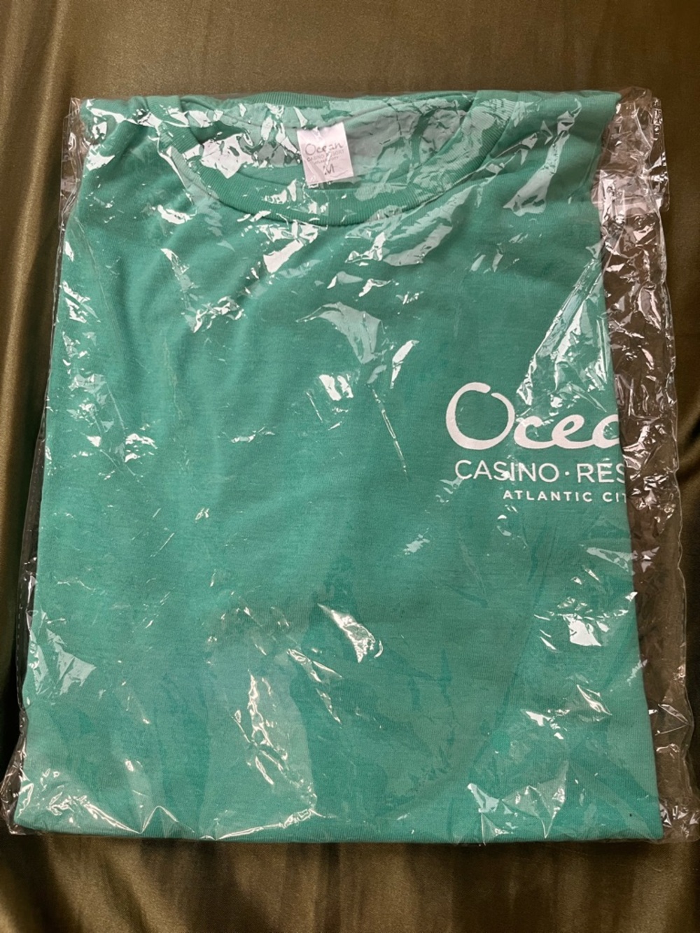 Men's Teal Logo T-Shirt